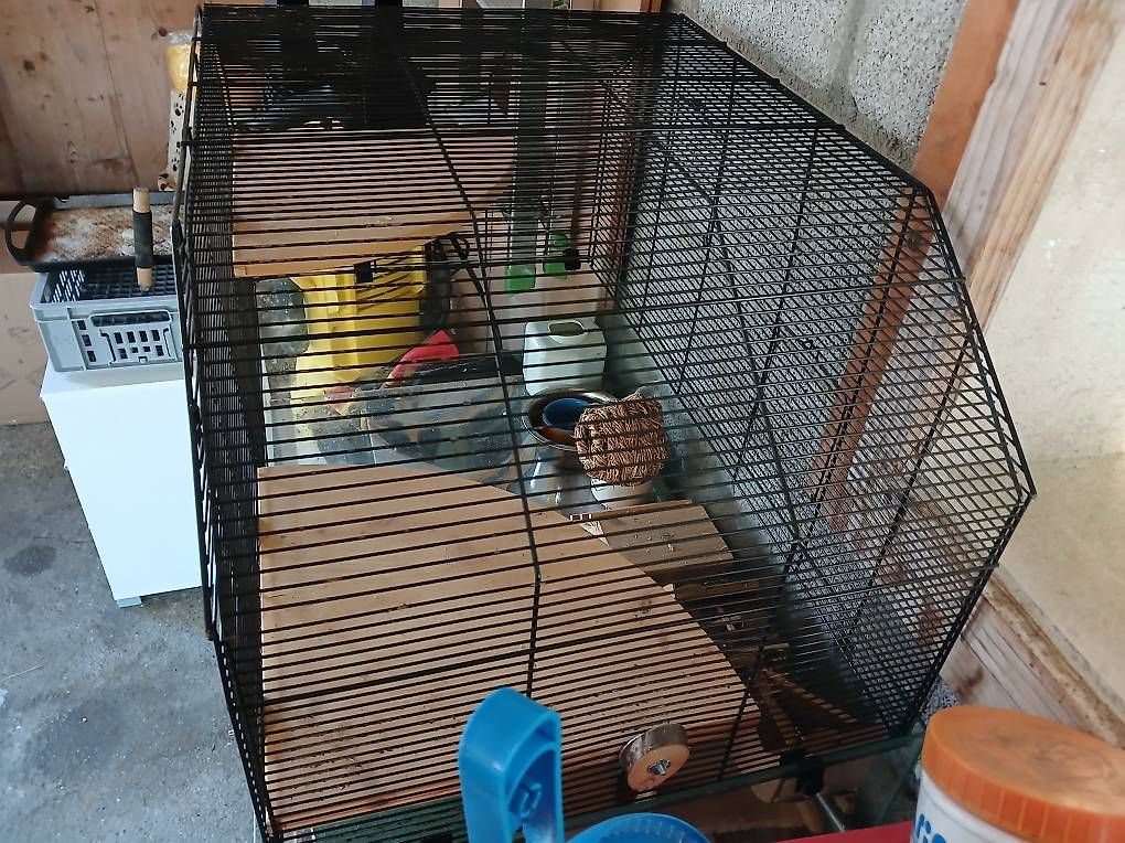 Gabbie, trasporto & Sicurezza: Hamsterkäfig – Usato da Süderen venduto da Luethi1990
