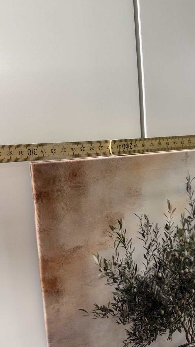 Foto & Immagini: Bild Olivenbaum neuwertig – Nuovo (secondo la descrizione) da Weiningen ZH venduto da Jeolina 2
