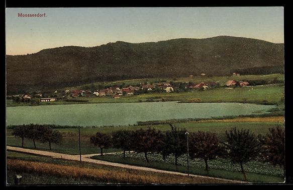 Cartoline postali: AK Moosseedorf, Totalansicht – Usato da Berlin venduto da bartko-reher