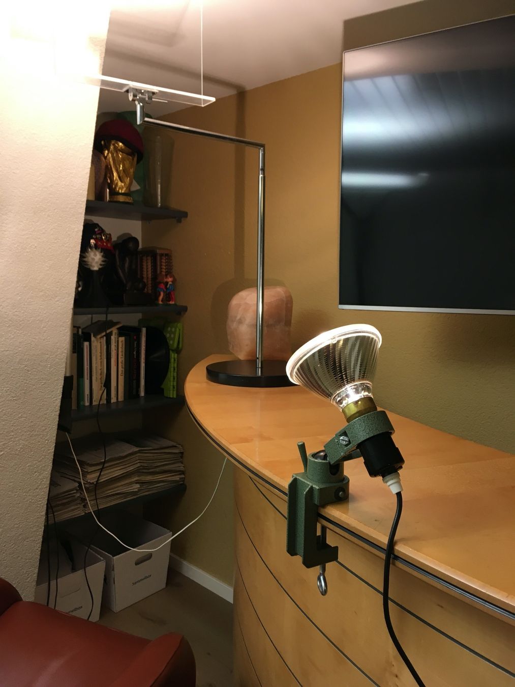 Philips Lampade: Kugelkopf Lampe / Beleuchtungsspot – Usato da Rheineck venduto da emma.gut 4