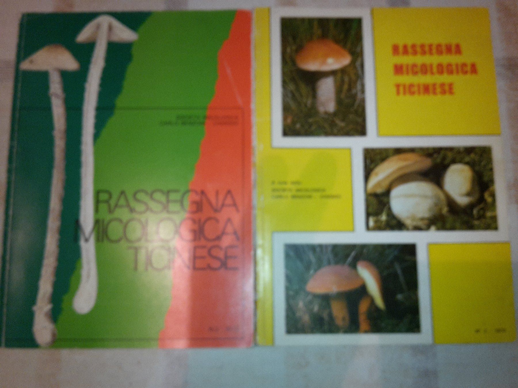 Libri: TICINO,LIBRI di FUNGHI/PILZE – Usato da Viganello venduto da Priska.c