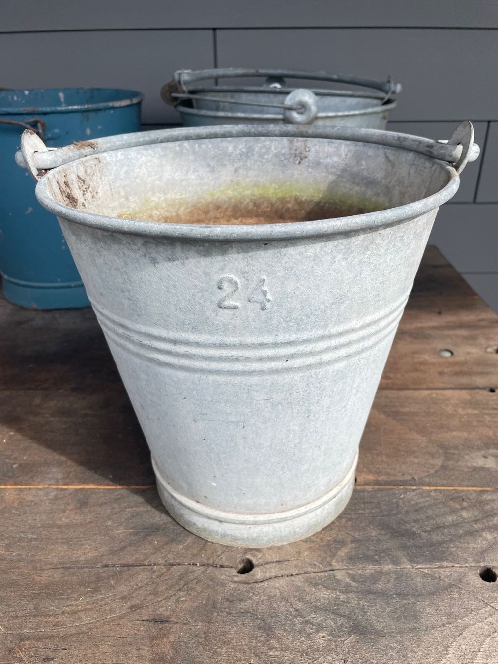 Altro per la casa: Eimer Blumentopf Garten – Usato da Rudolfstetten venduto da haalaa 4