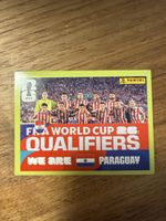 Panini PAR13