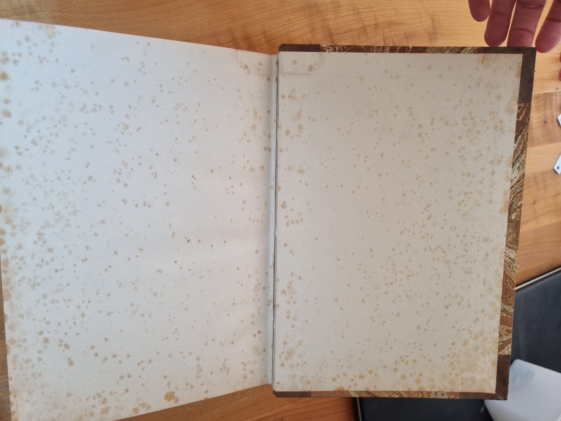 Libri: Originalausgabe Grimms Wörterbuch, 19 Bänder – Usato da Bern venduto da serainaviola 5