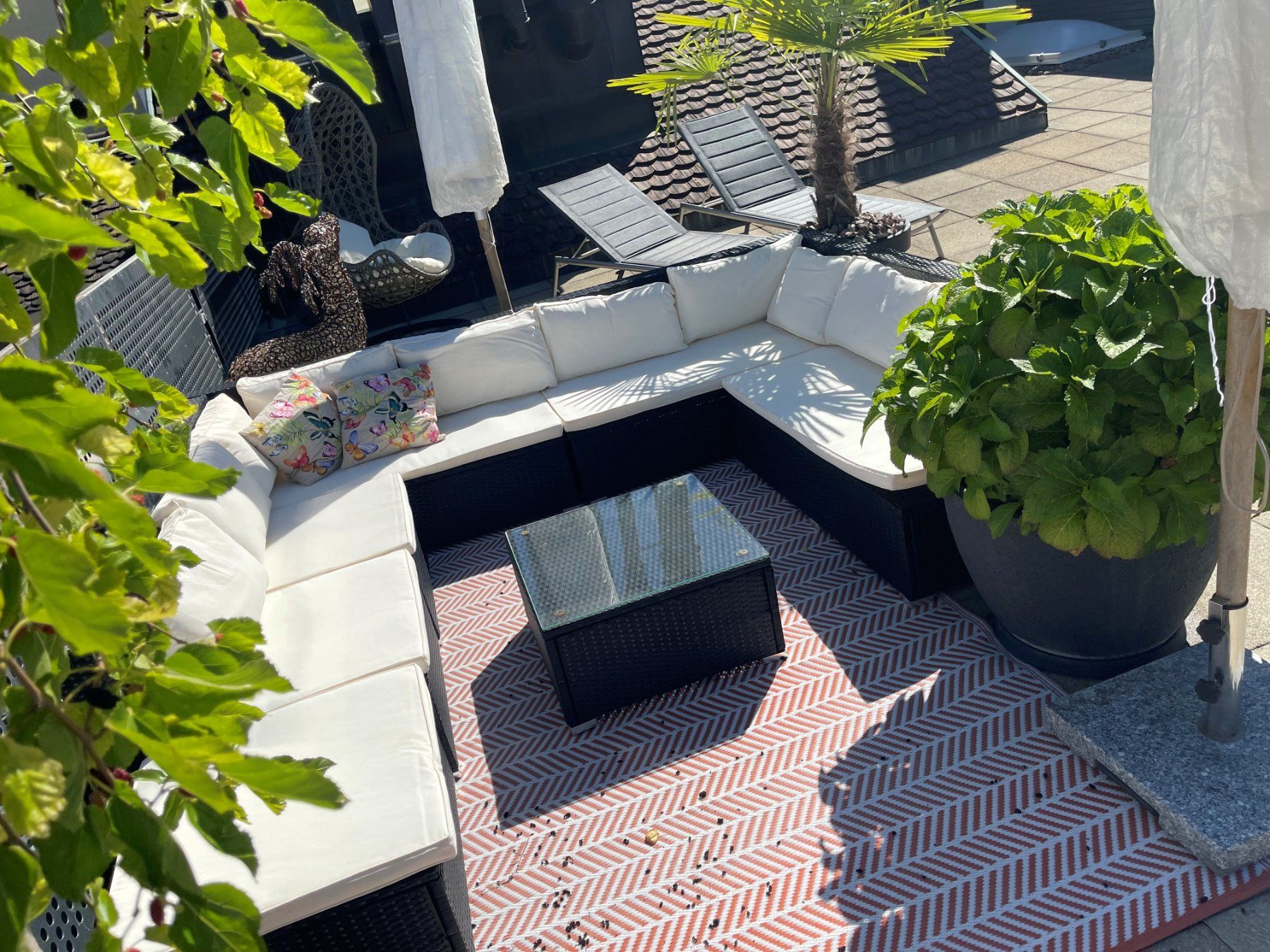 Divani: Gartenlounge – Usato da Basel venduto da luci1961