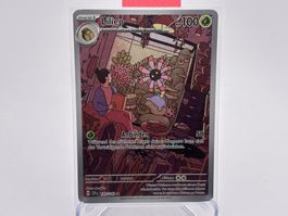 Stellarkrone - Liliep  (SCR 145) - DE