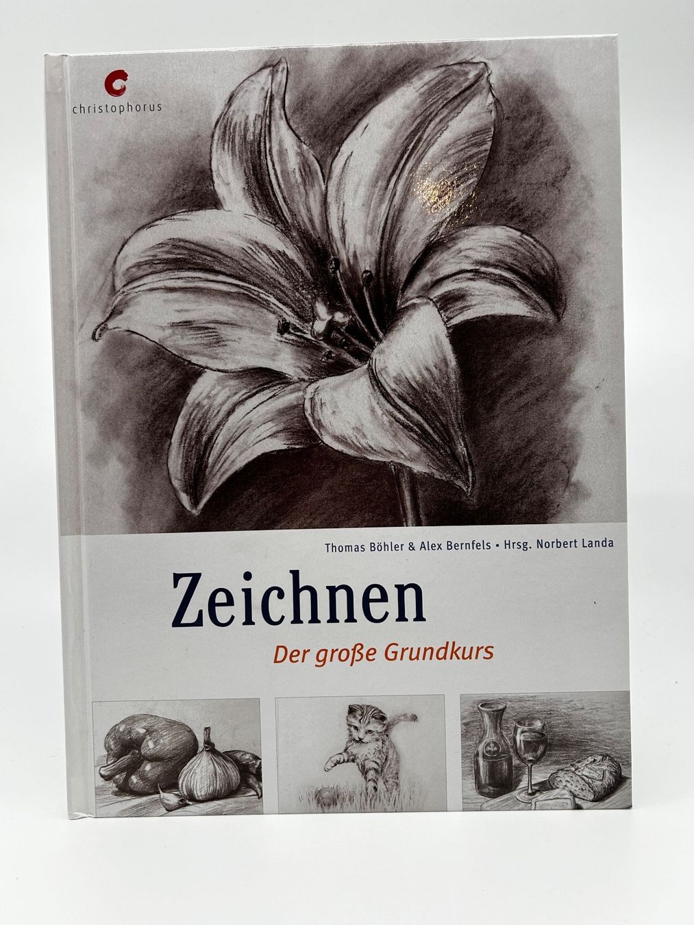 Libri: Zeichnen: Der grosse Grundkurs – Usato da Pfeffingen venduto da guvalia