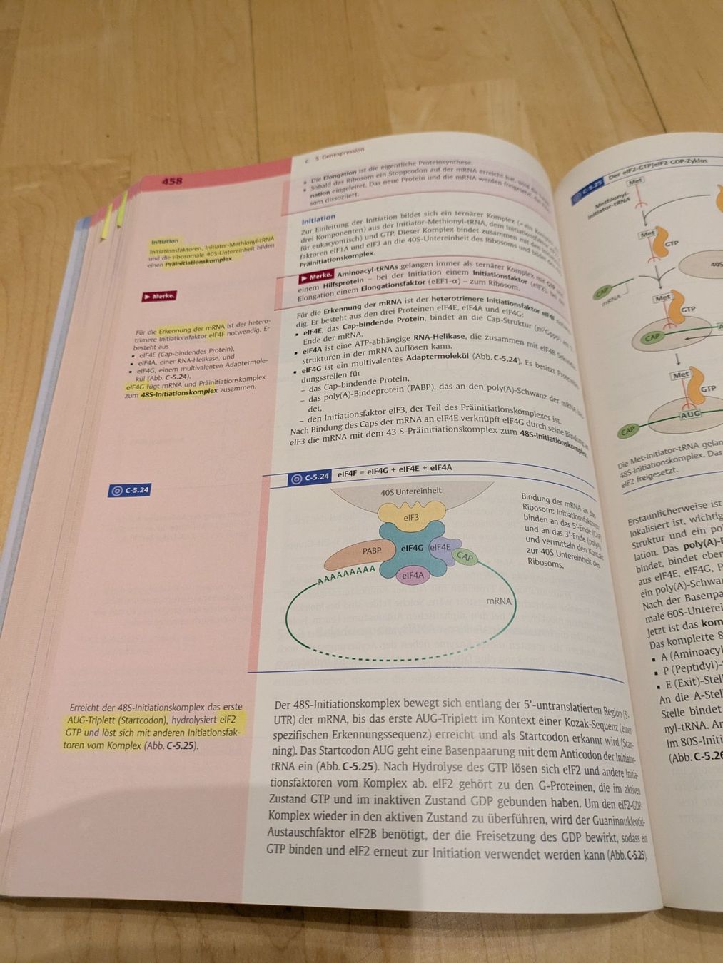 Libri: Biochemie, Duale Reihe – Usato da St. Gallen venduto da Lila_238 2