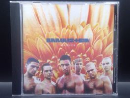 Rammstein – Herzeleid