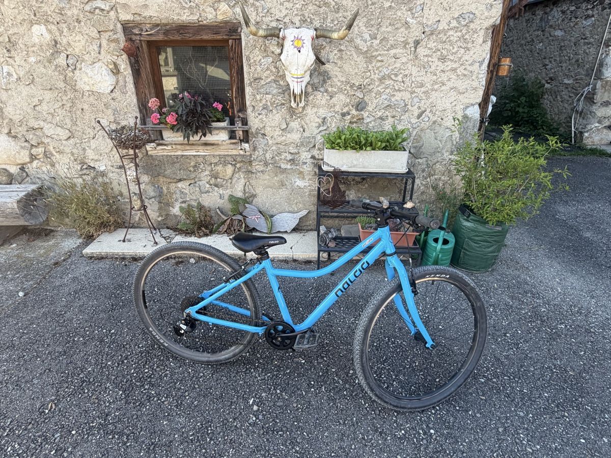 Naloo Biciclette: Naloo Chameleon 26 Zoll – Usato da stallikon venduto da Guetze1990 1