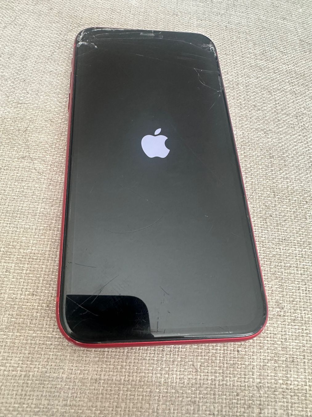 Apple Telefoni cellulari / Smartphones: Iphone 11 Product Red – Usato da Baar venduto da pede1900