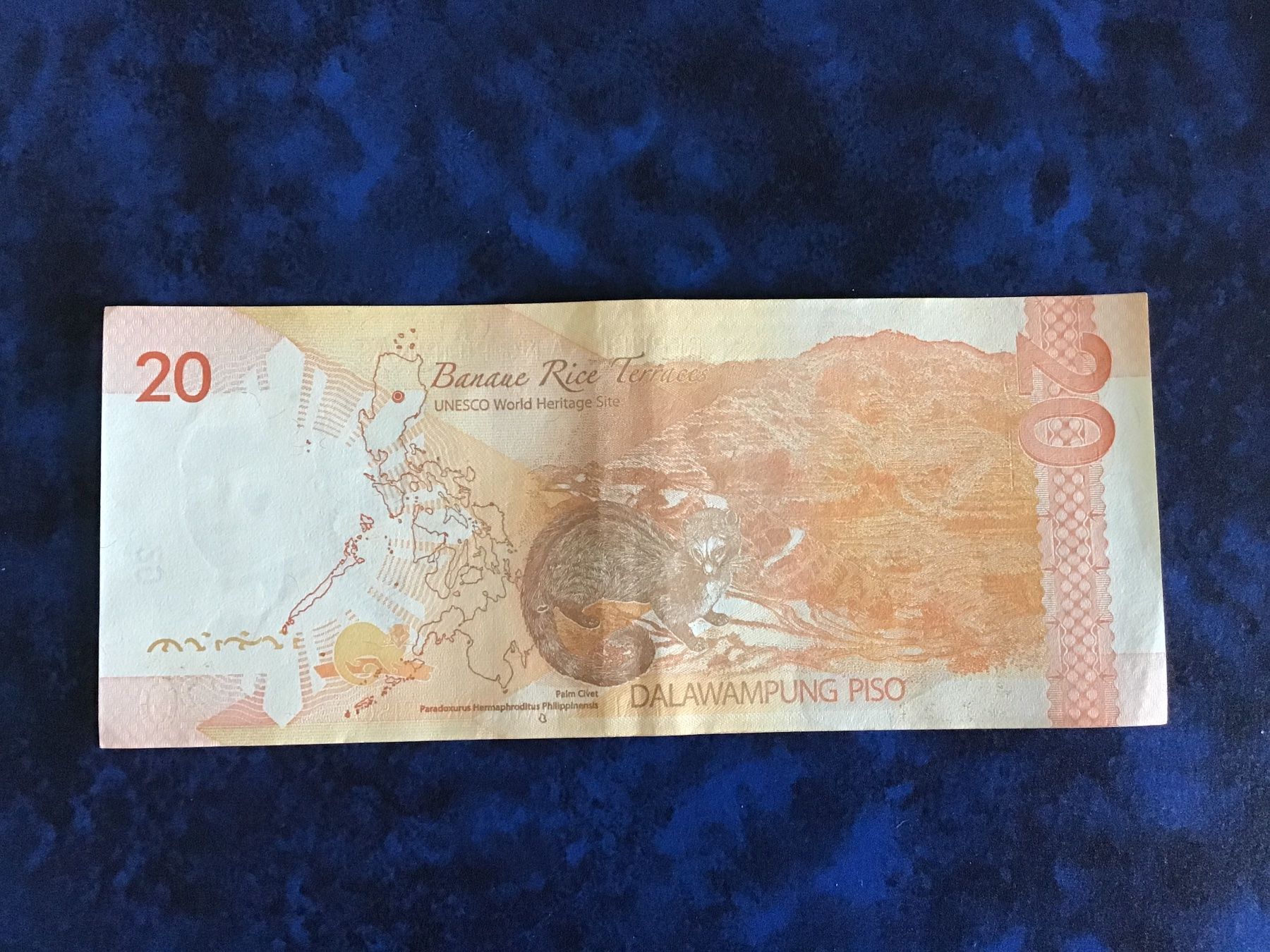 Banknoten: Philippinen 20 Piso 2014 – Gebraucht aus Urtenen-Schönbühl von absolut08 1