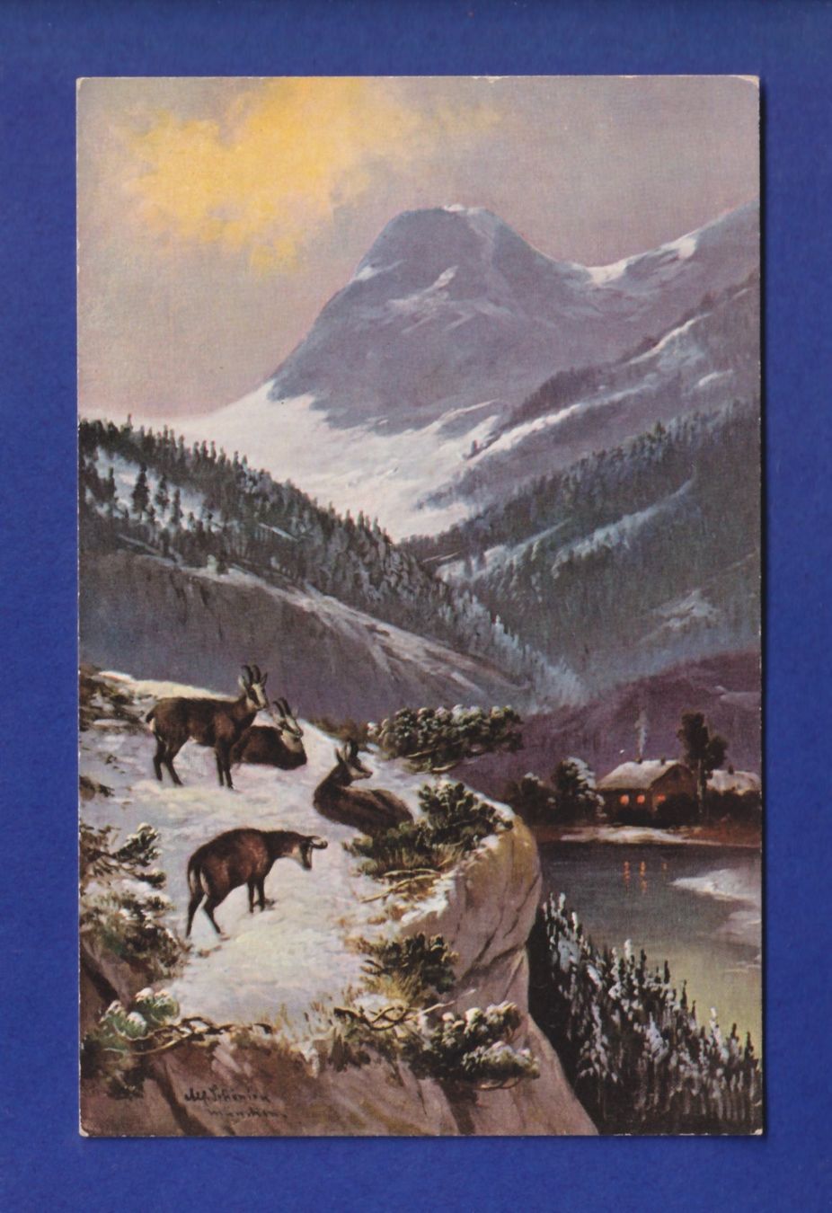Cartes postales: CHAMOIS – D'occasion à Pully par nicecards-shop