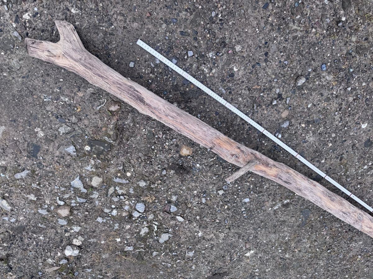 Holzartikel: Schwemmholz  – Gebraucht aus Schwellbrunn von Magdalena888 2