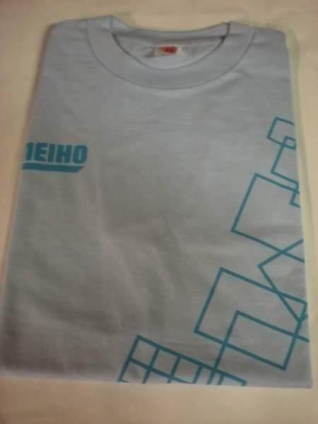 T-shirt: T-Shirt hellblau Taille/Grösse M – Nuovo (secondo la descrizione) da Fribourg venduto da versus702