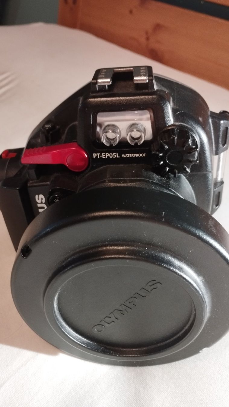Olympus Lampen & Fotografie: Olympus E-PL3 Digital Camera mit Unterwassergehäuse – Gebraucht aus Winterthur von Sternstella 2