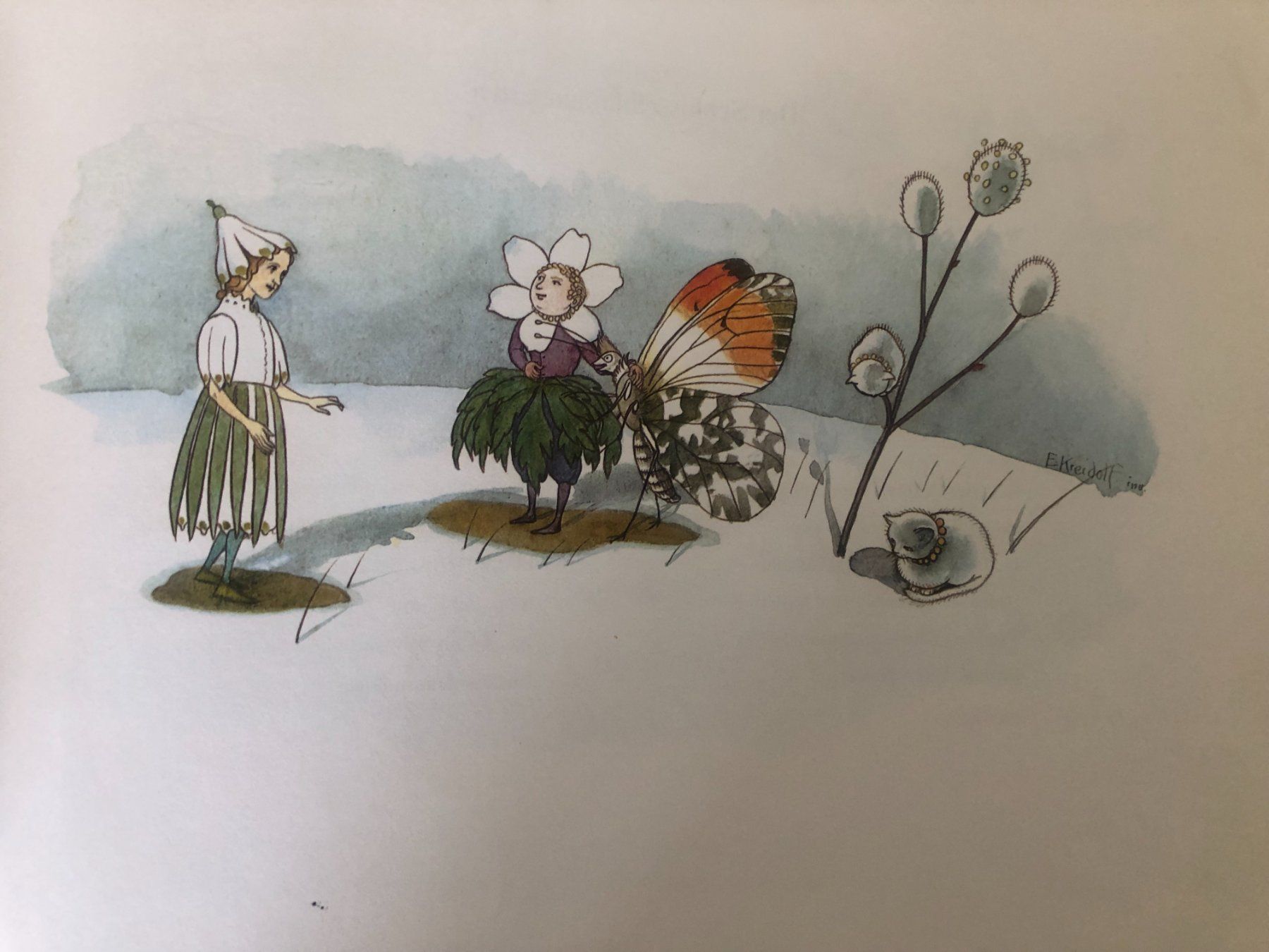 Libri: Blumen-Märchen von Ernst Kreidolf – Usato da Bassersdorf venduto da sammelfloh 4