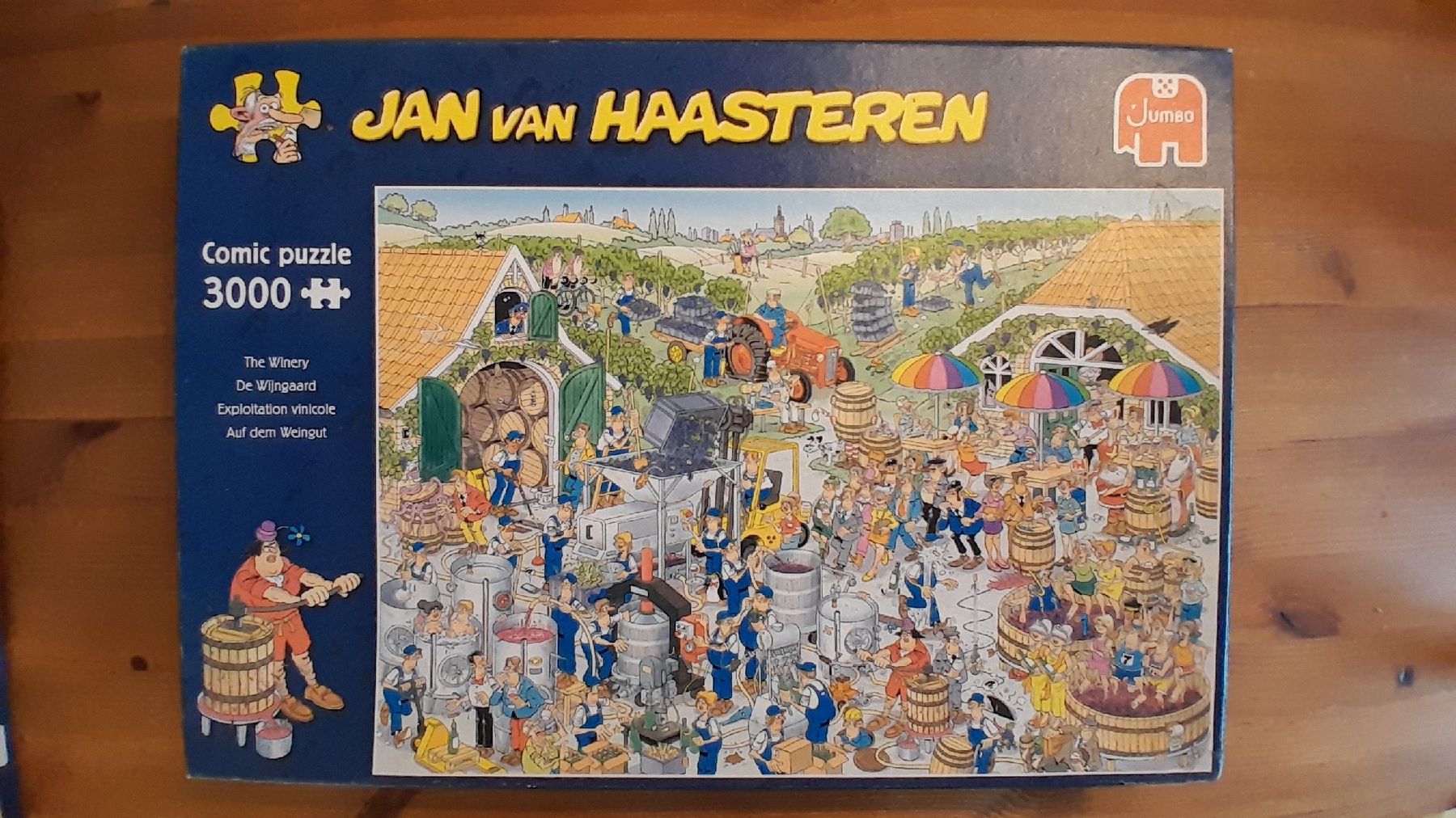 Puzzle: Jan van Haasternen Puzzles – Usato da Basel venduto da Whambam