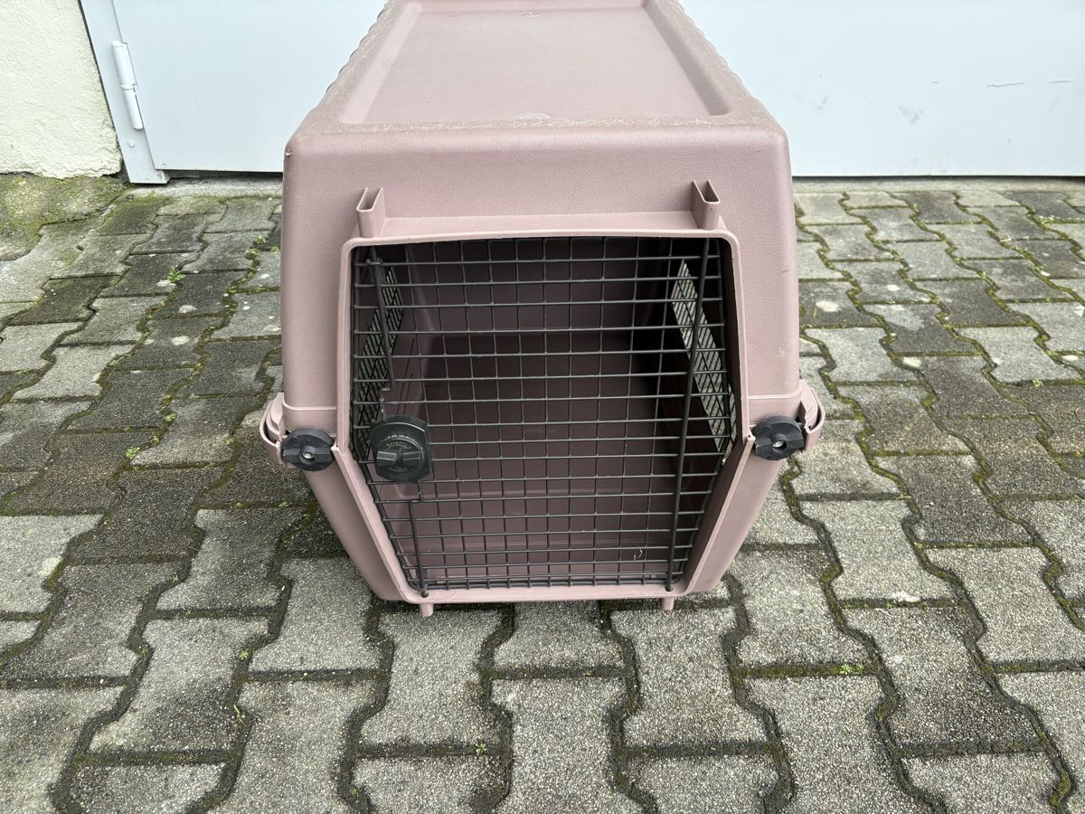 Gabbie, trasporto & Sicurezza: Hunde Box, Hartplastik – Usato da Sisseln AG venduto da art-dragoon