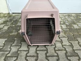 Hunde Box, Hartplastik