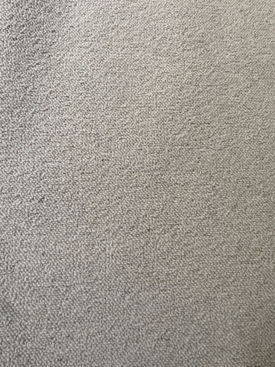 Tapis: Teppichboden/Fitted carpet – Neuf (Voir description) à Gockhausen par mikosbartlomiej