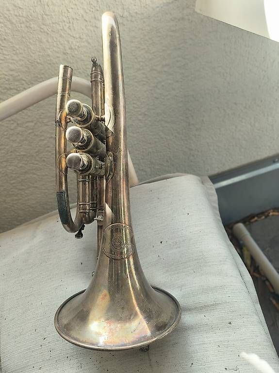 Strumenti musicali: Altes Cornett  – Difettoso da Oetwil a.d. Limmat venduto da ala_gmd8 4
