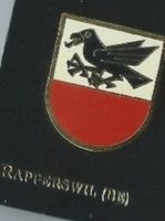 Rapperswil (BE) Gemeindewappen PIN