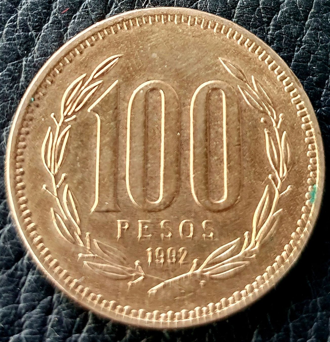 Tutti le monete: 100 Pesos 1992 Chile – Usato da Egerkingen venduto da Acc1
