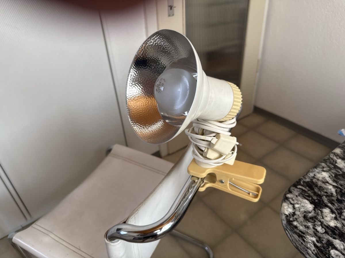 Lampen: Klemmlampe mit Reflektor und Lampe gebraucht – Gebraucht aus Mellingen von Wupper