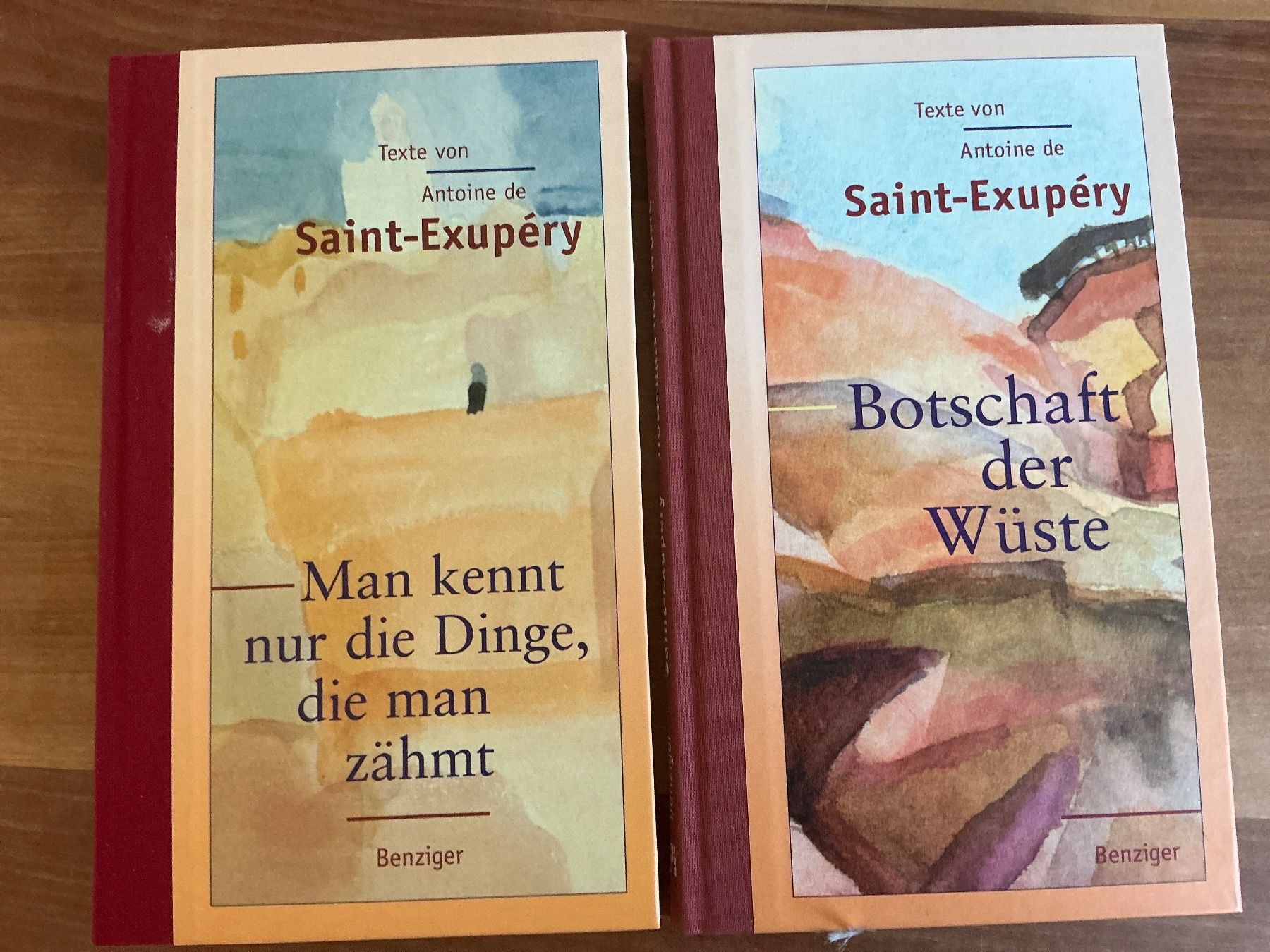 Libri: Antoine Saint-Exupéry – Usato da Kirchenthurnen venduto da Gluecksbrief