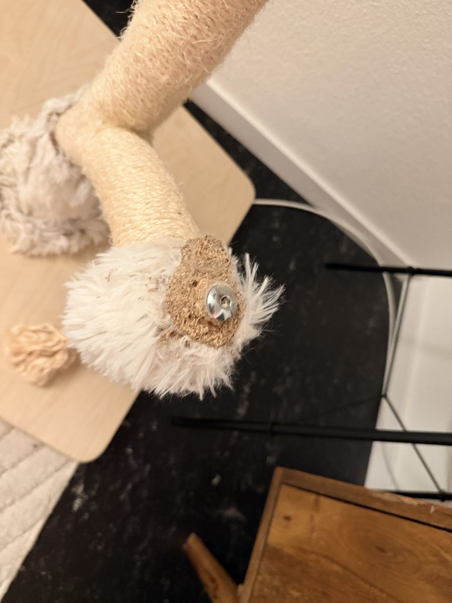 Arbres à chats: Kratzbaum defekt  – Défectueux à Bülach par Prooflite 3