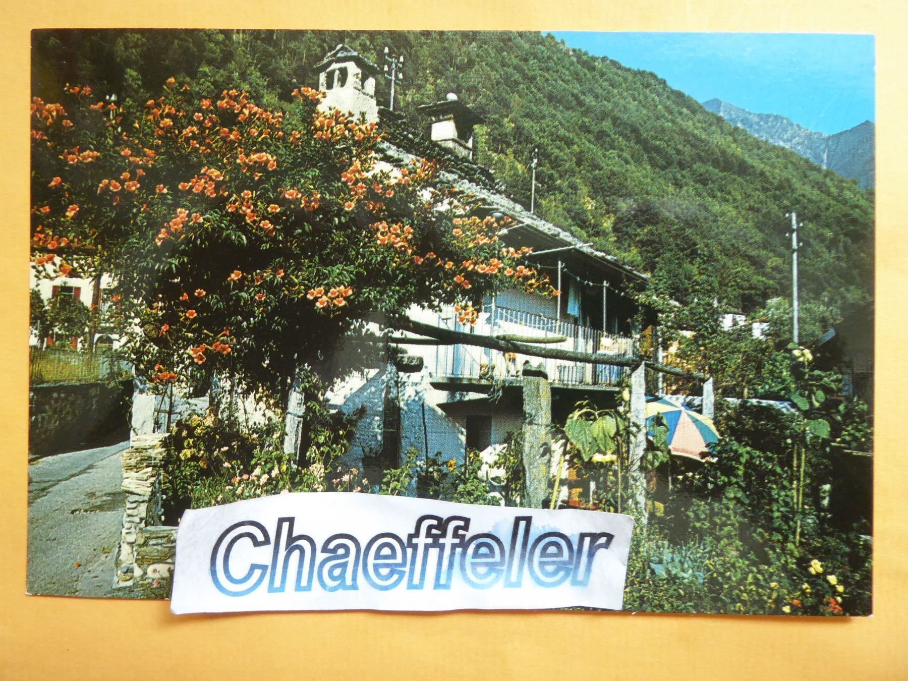 Cartoline postali: 6672 Gordevio, Valle Maggia – Nuovo (secondo la descrizione) da Zürich venduto da Chaeffeler
