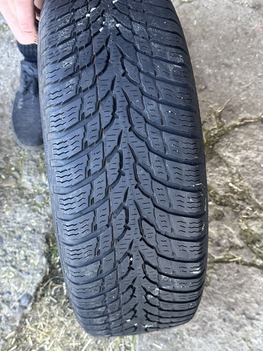 Pneumatici & Ruote complete: Reifen mit Felge von einem Renault Modus – Usato da Pohlern venduto da lev_25gk 4
