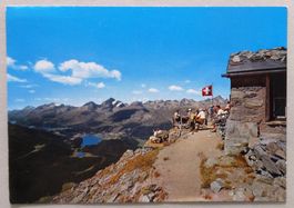 Blick vom Oberen Schafberg (Segantini-Hütte)