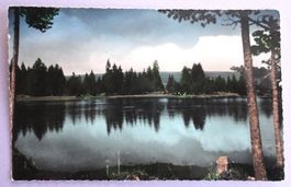 Etang de la Gruère (Jura Bernois)