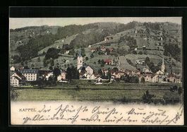 Kappel, Blick über die Wiese auf den Or