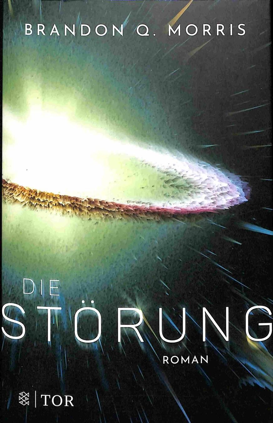 Libri: Die Störung – Nuovo (secondo la descrizione) da Chur venduto da mojobox