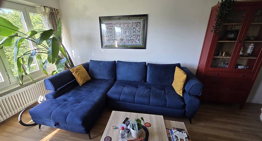 Divani: Sofa - Brand new – Usato da Olten venduto da pku_7lwq