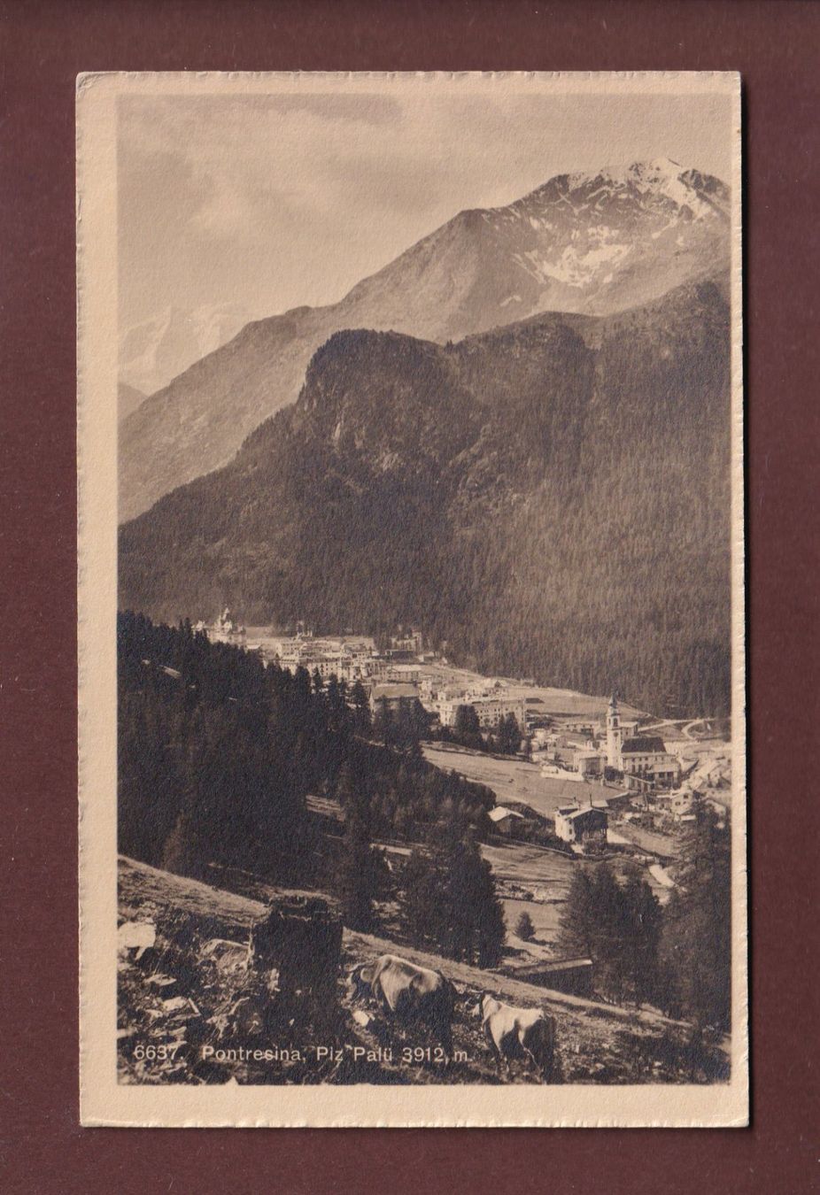 Cartoline postali: PONTRESINA - Piz Palü – Usato da Pully venduto da nicecards