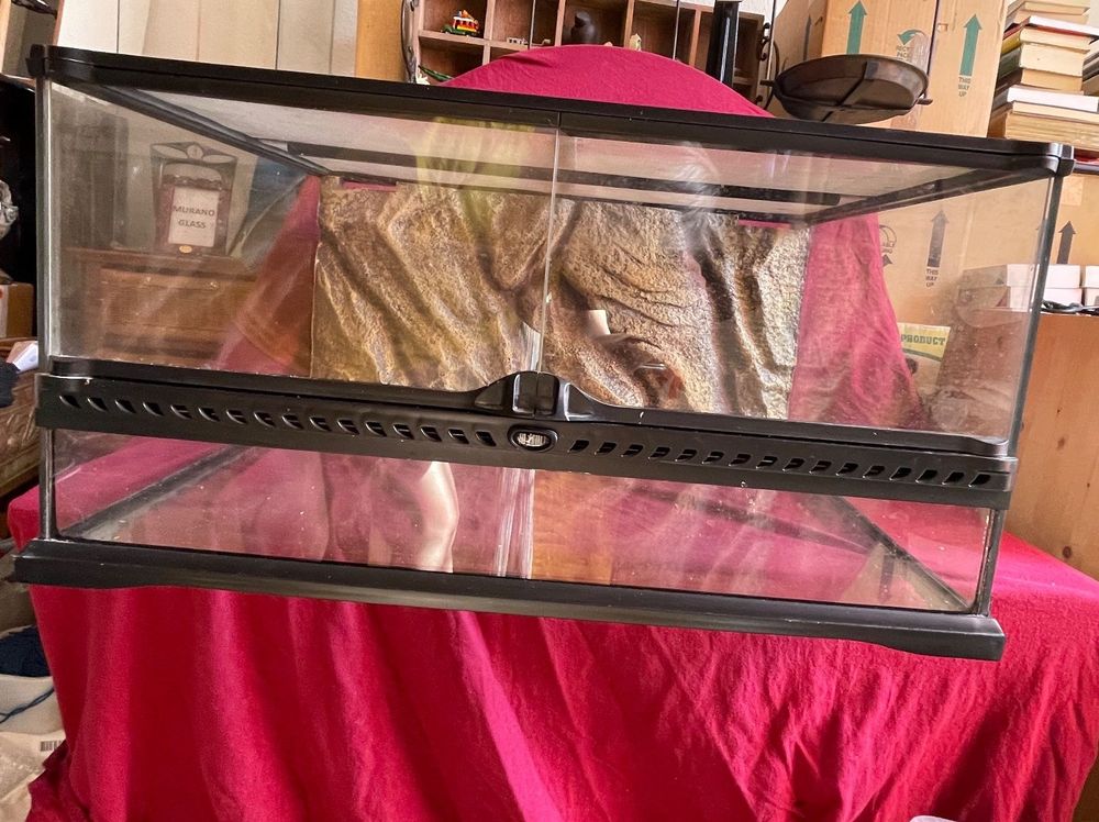 Terrarium Exo Terra 60x45x30cm mit Rückwand Kaufen auf Ricardo