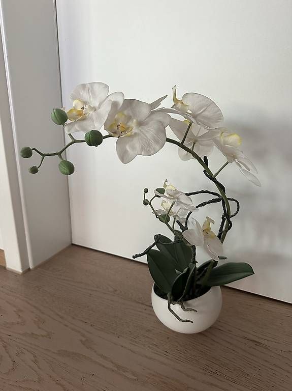 Piante & sementi: Künstliche Orchidee, 45cm hoch – Usato da Winterthur venduto da trading_
