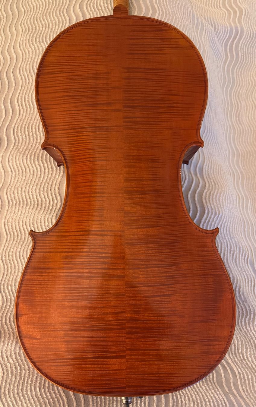 Strumenti musicali: Cello von Benedikt Lang (Mittenwald) – Usato da Illnau venduto da Halixx 1
