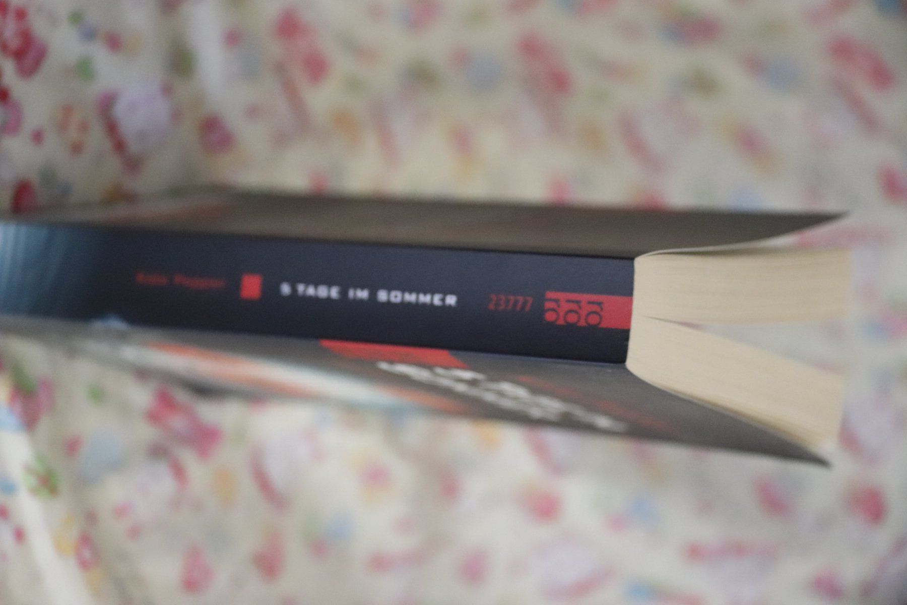 Libri: 5 Tage im Sommer von Kate Pepper – Usato da Glattfelden venduto da Vrenely 3