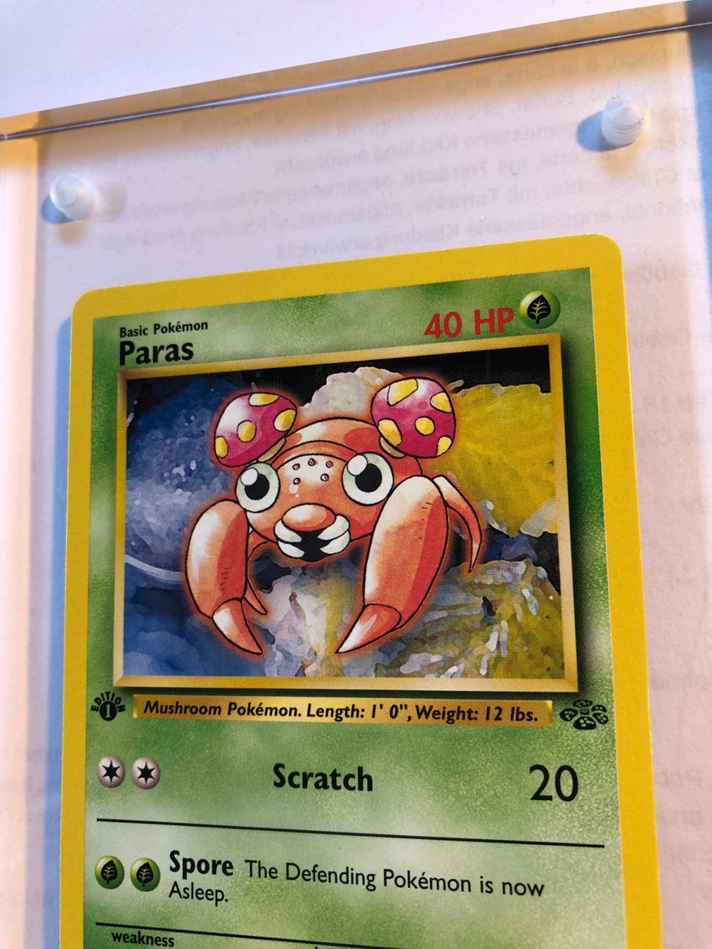 Sammelbilder & Trading cards: Paras 1st Jungle - LP - ab 1.- – Gebraucht aus Giubiasco von dan_pr8b 3