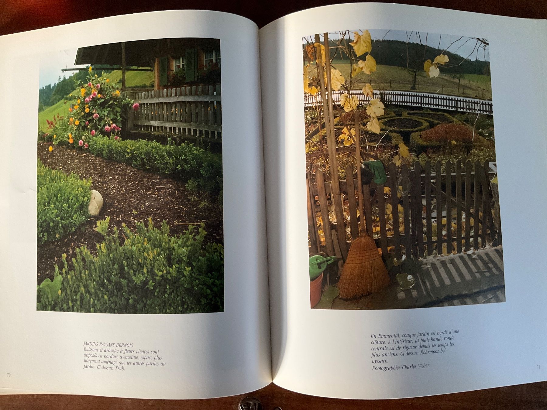 Bücher: Odeurs de Jardins Lorette Cohen – Gebraucht aus Avenches von Lactobacille 4