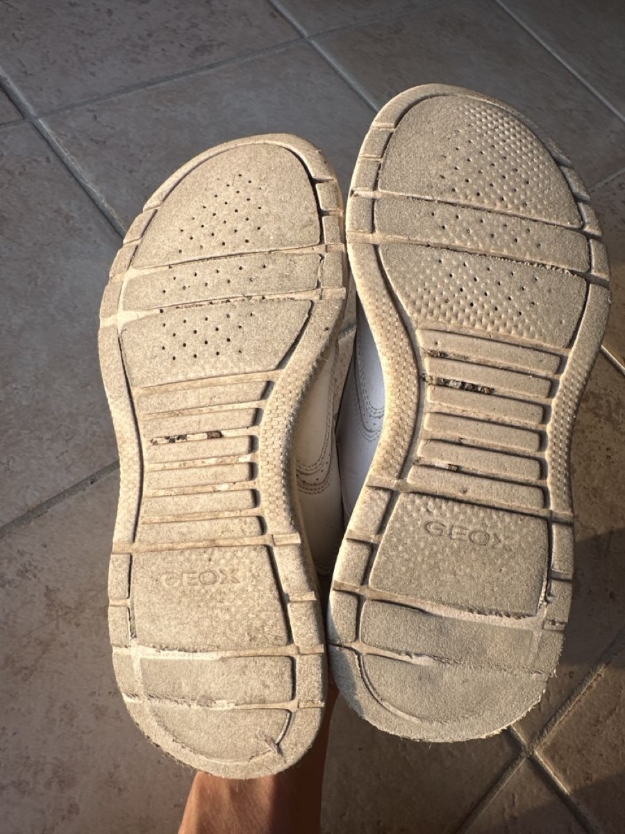 Geox Scarpe da donna: Geox sneakers (38) – Usato da St-Légier-Chiésaz venduto da arianerodic 4