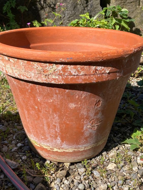 Blumentopf gross, Ton Kaufen auf Ricardo