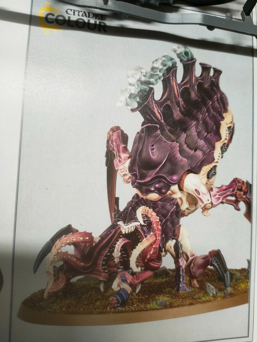 Modellbausätze & Standmodelle: Warhammer 40k Psychophage der Tyraniden – Neu (gemäss Beschreibung) aus Baden von Araneus
