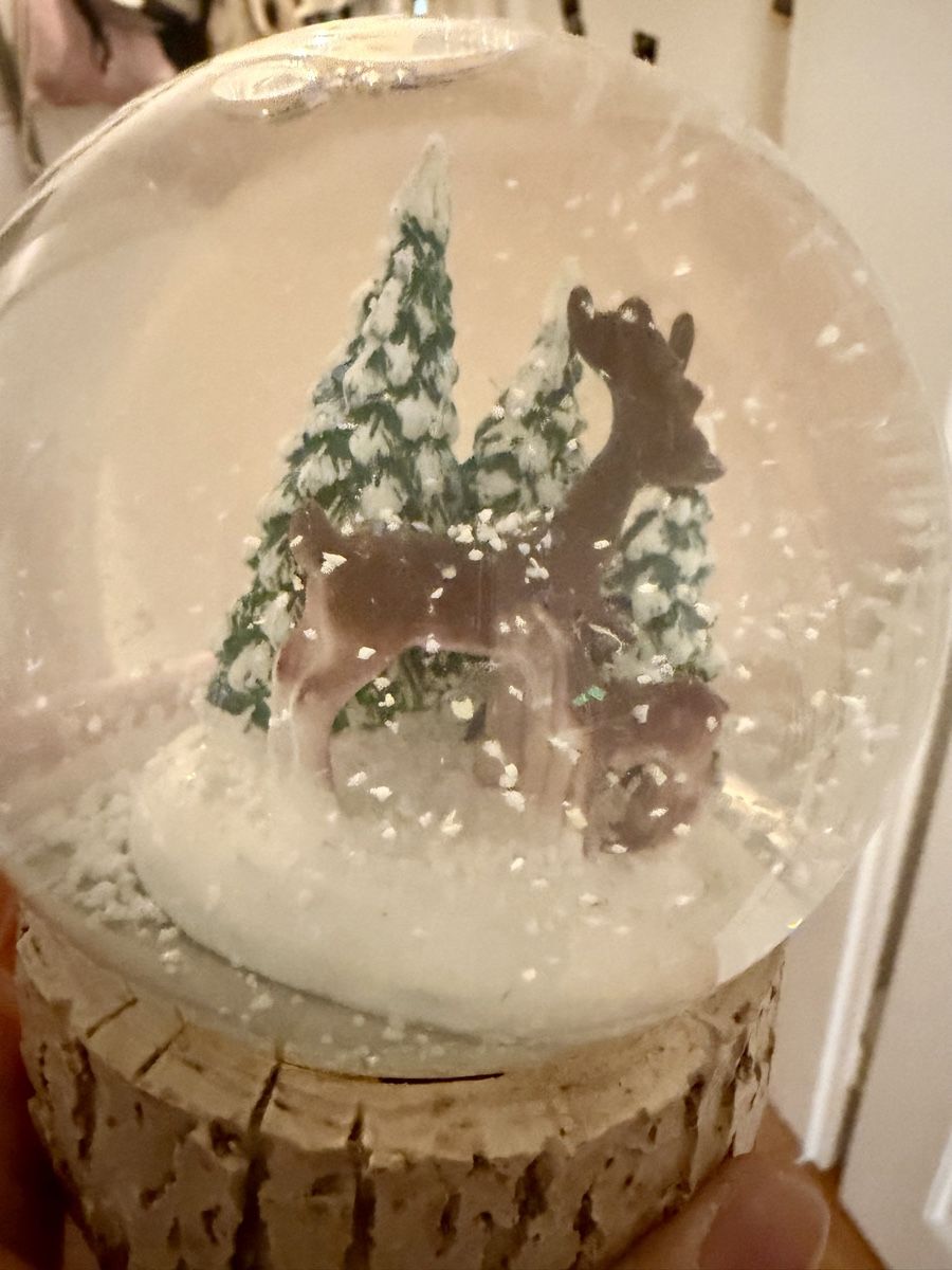 Alle Dekorationen: Schneekugel Deko – Gebraucht aus Zürich von zucchetti13 1