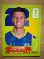 Panini Sticker Dzenis Burnic FIFA 2026 BIH 14 neu